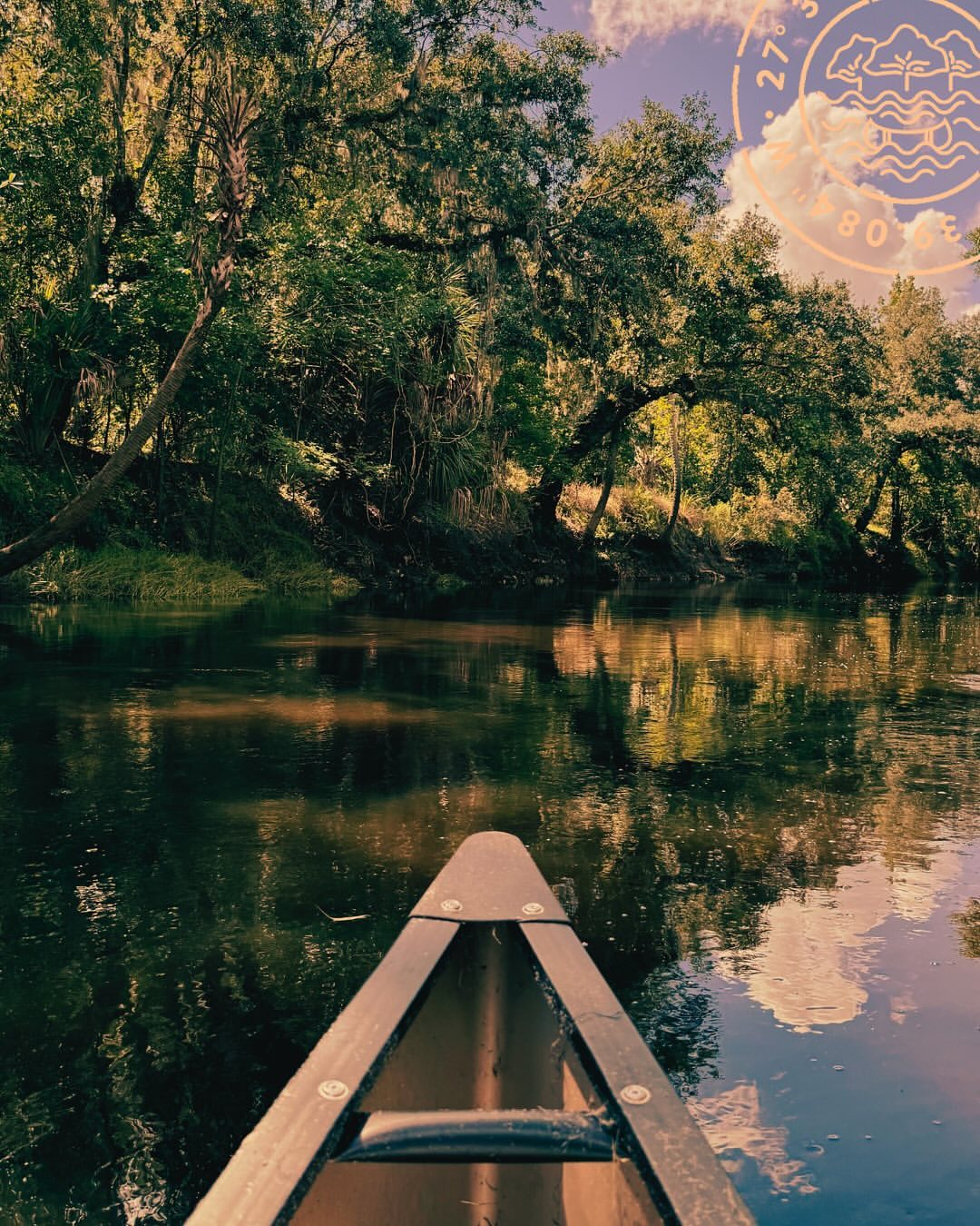 A peaceful canoeing experience on a calm river, surrounded by lush greenery and towering trees draped with Spanish moss. The bow of the canoe points toward the reflective water, creating a serene and immersive outdoor adventure at Peace River Oaks. Sage Outdoor Advisory supports outdoor hospitality businesses in creating unforgettable nature-based experiences through expert insights and strategic planning.