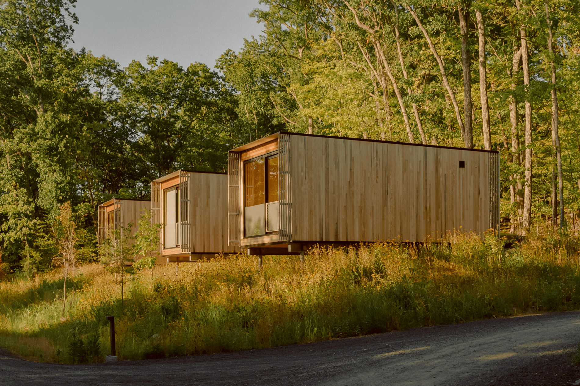 A row of minimalist wood-clad landscape hotel cabins elevated on stilts, surrounded by tall grass and dense forest in the Catskills. Sage Outdoor Advisory incorporates architecturally driven lodging like this into Feasibility Studies to assess premium guest experience and aesthetic-driven market appeal.