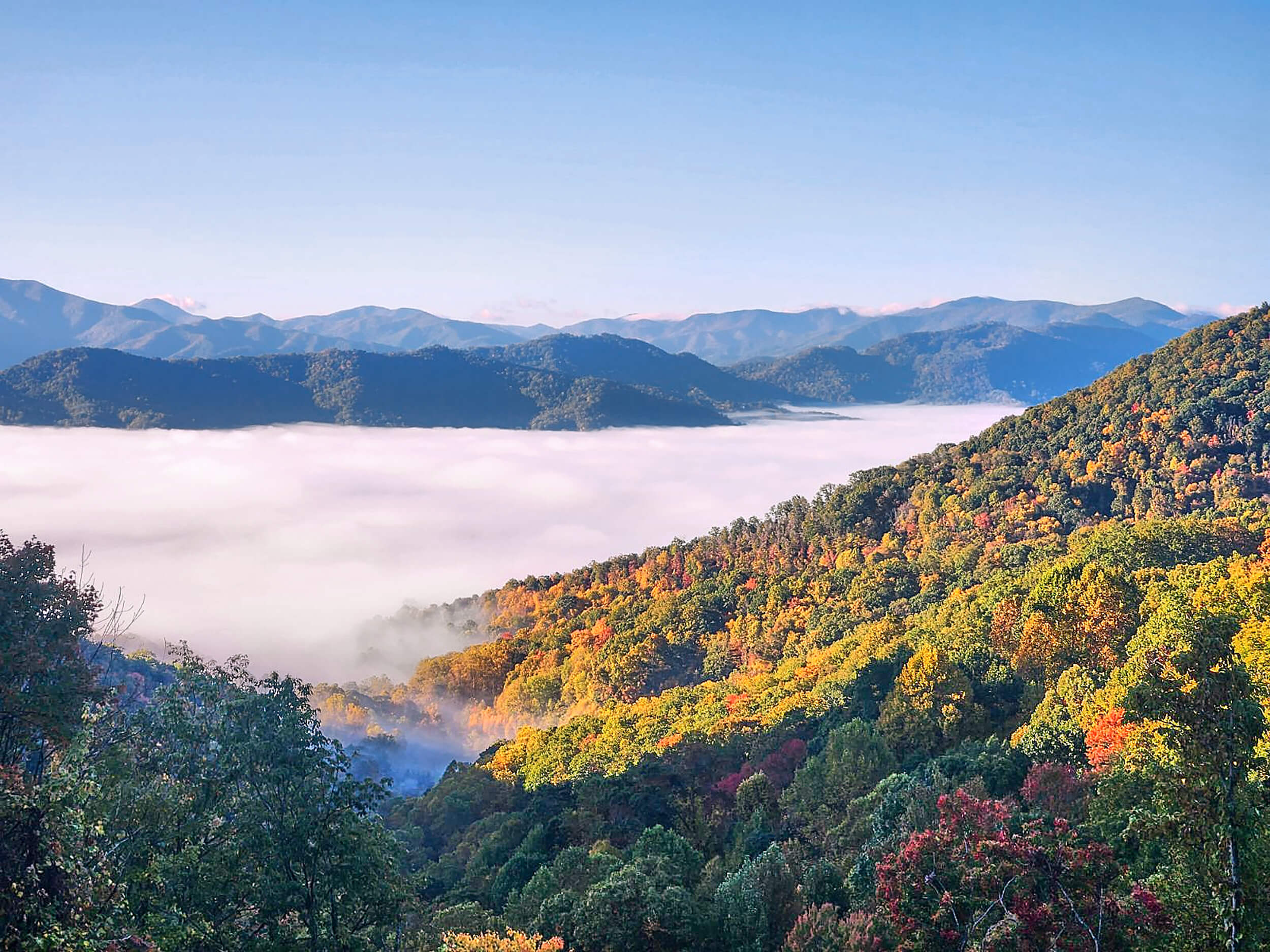 Autumn sunrise over the Blue Ridge Mountains with colorful fall foliage and a sea of clouds. Sage Outdoor Advisory provides feasibility studies, appraisals, and consulting for glamping and outdoor resort developments in scenic mountain destinations.